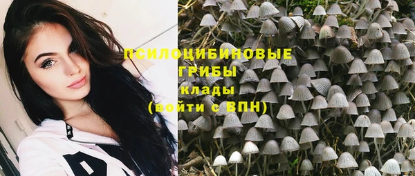 гидропоника Алзамай