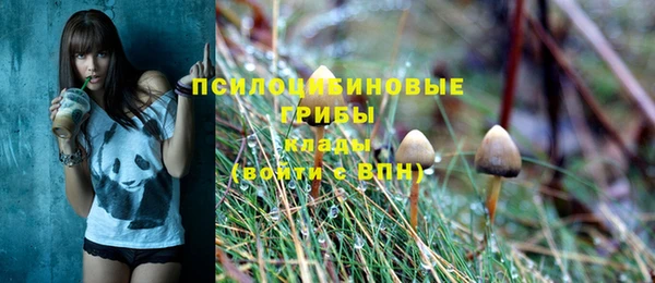 кокс Алексин